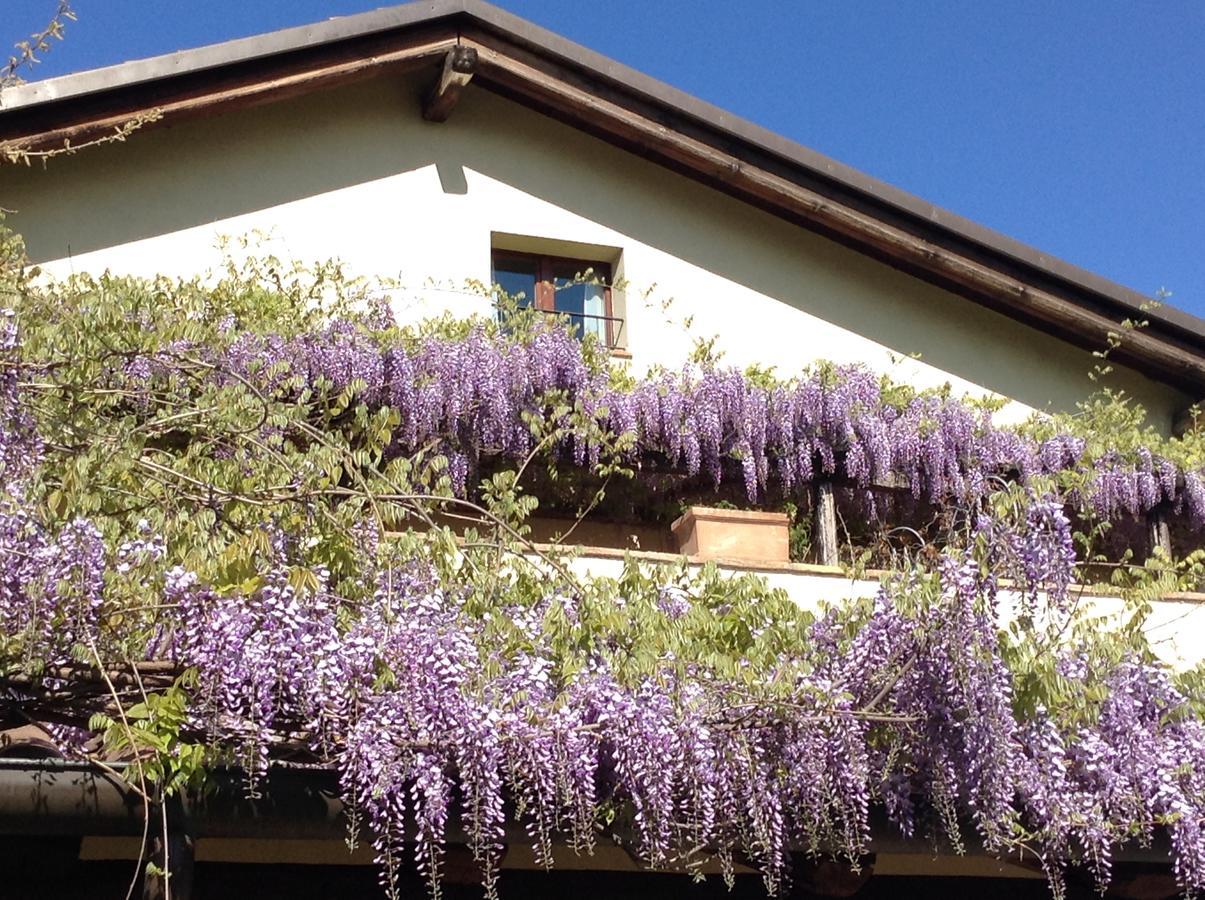 Casa Tentoni - Guest House Misano Adriatico Εξωτερικό φωτογραφία